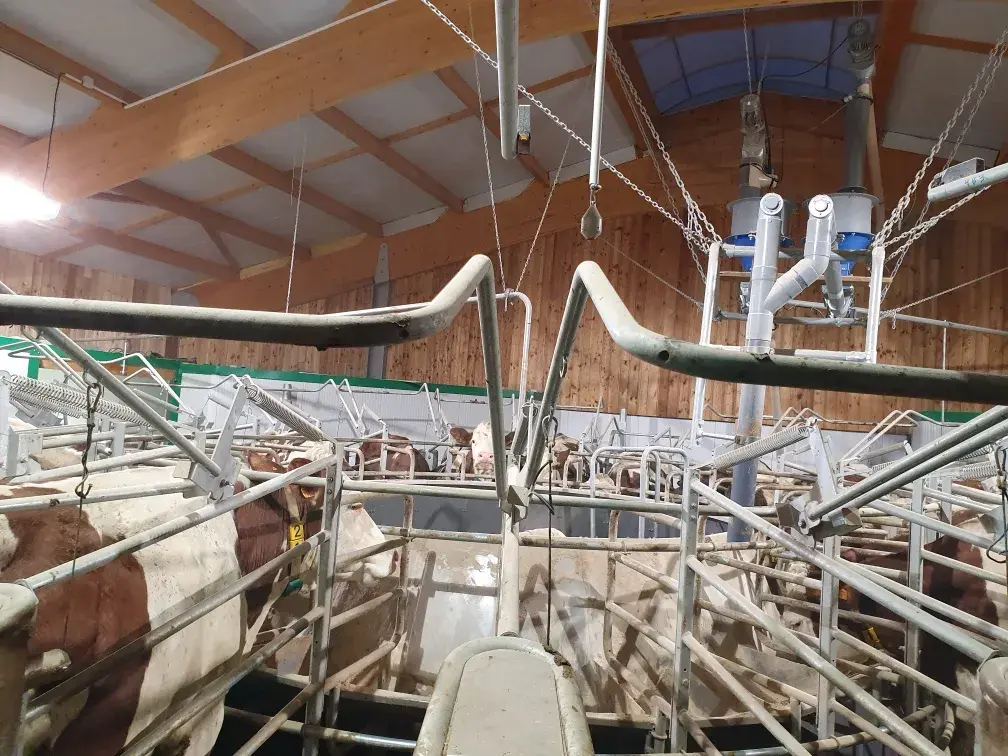 La salle de traite rotative de la ferme