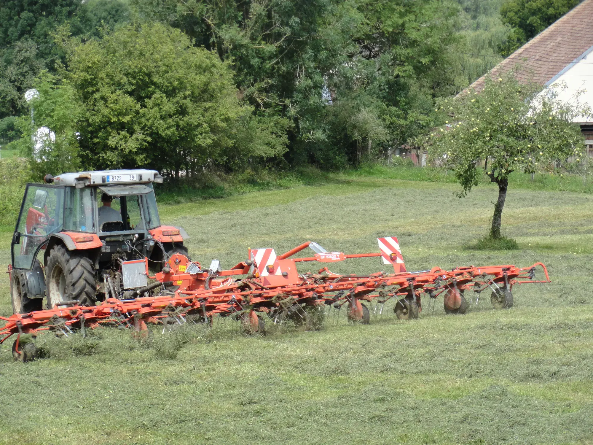 Fanage du foin sur le pré