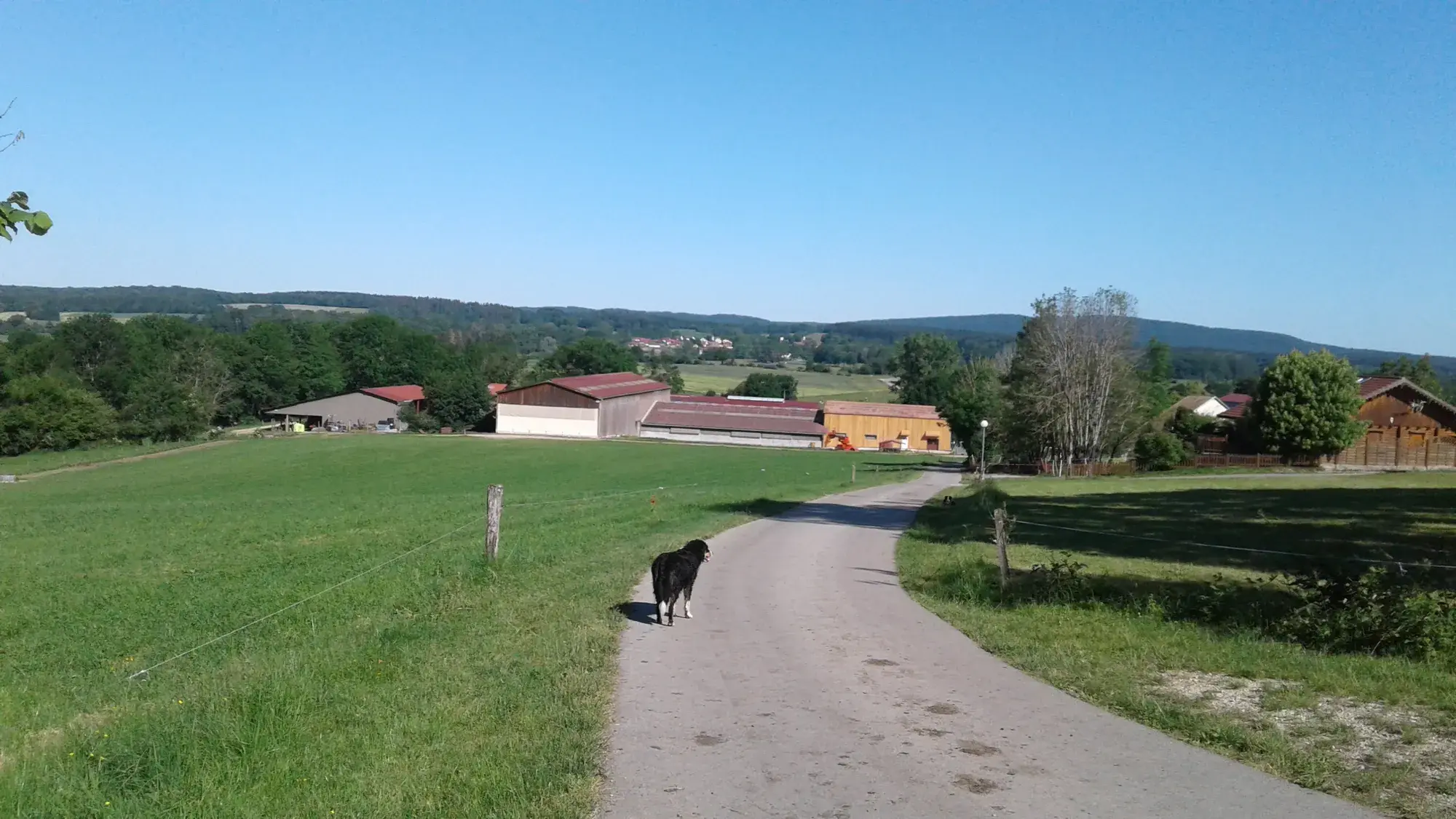 Le chemin vers les bâtiments de l'exploitation