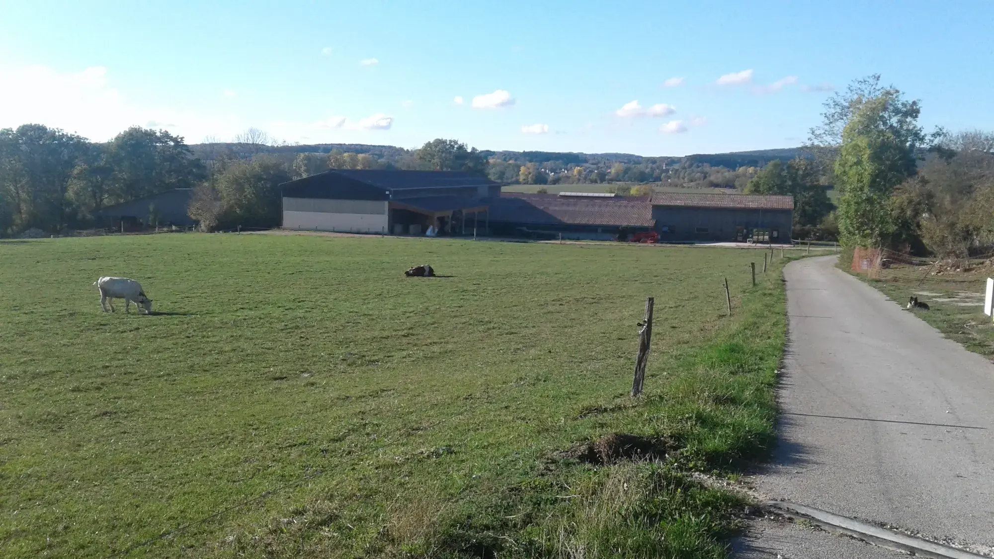 Le pré, le chemin et les bâtiments de l'exploitation sous le soleil d'automne