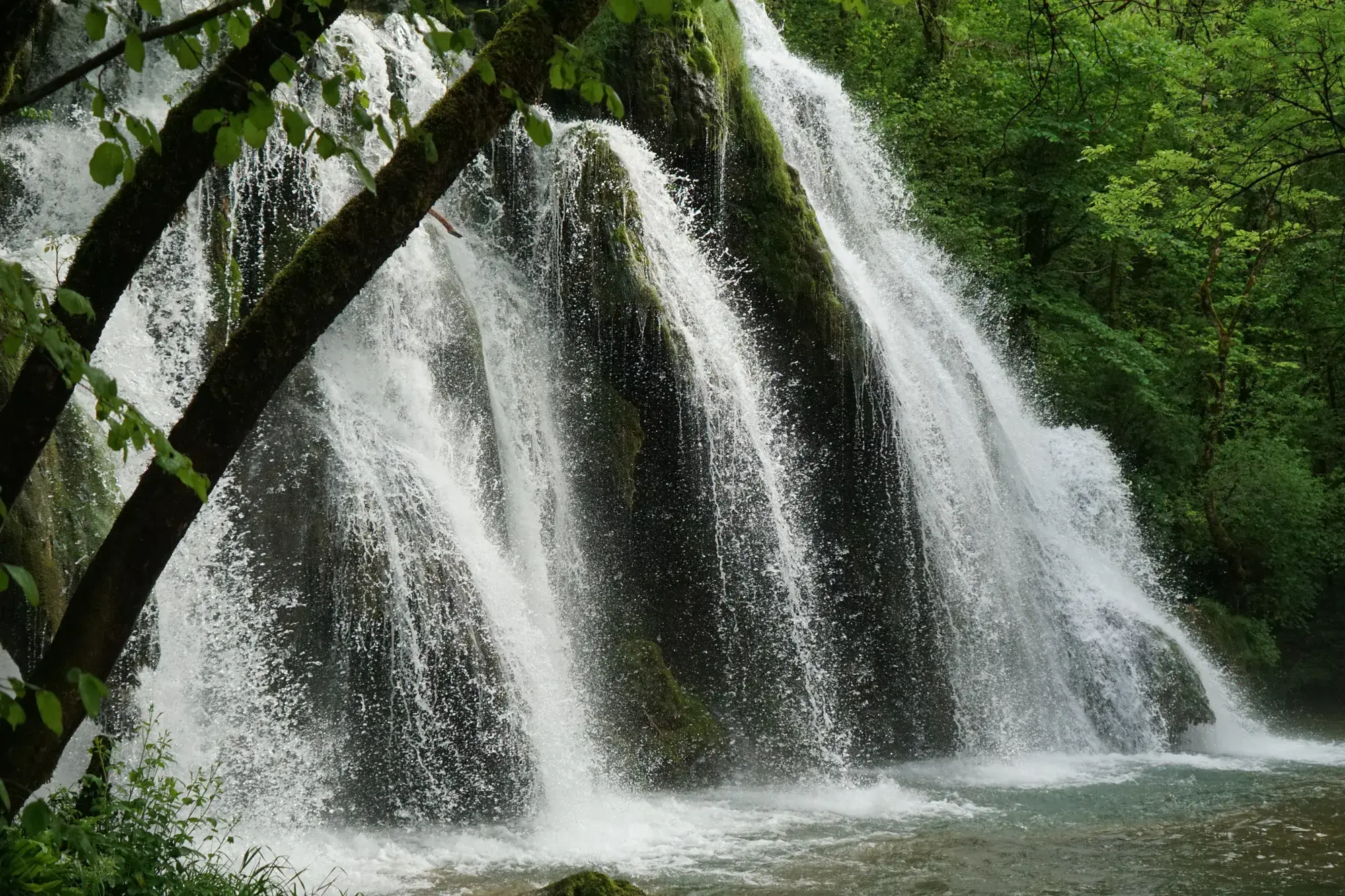 Cascade au cœur de la forêt jurassienne