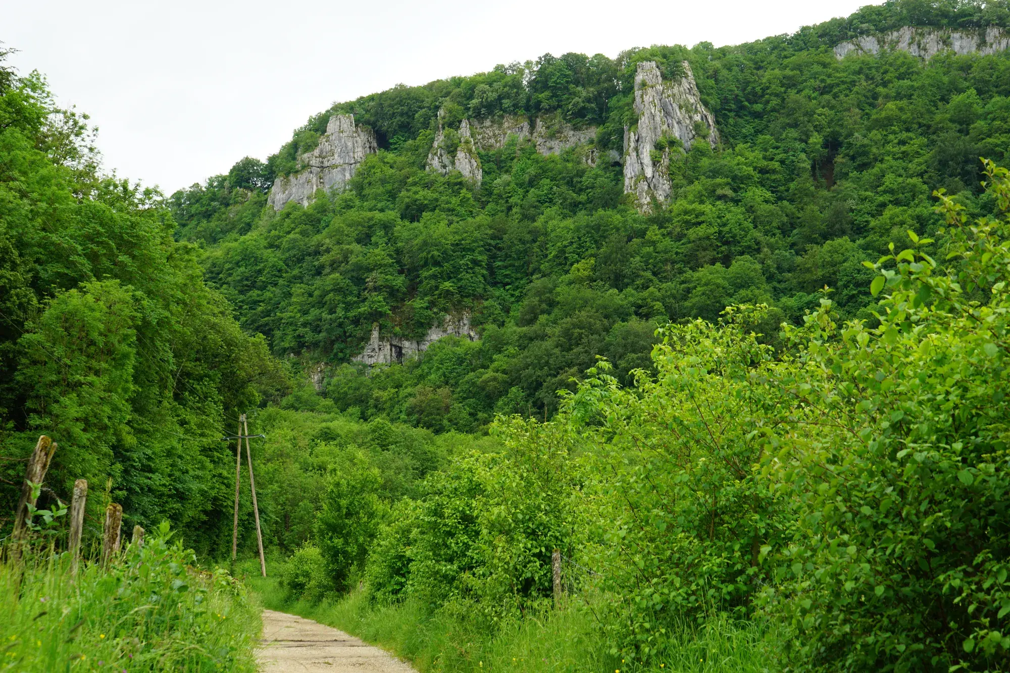 Sentier de randonnée au pied des falaises d'une reculée du Jura