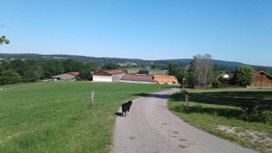 Vacances d’été dans le Jura : découvrez ce qui vous attend !