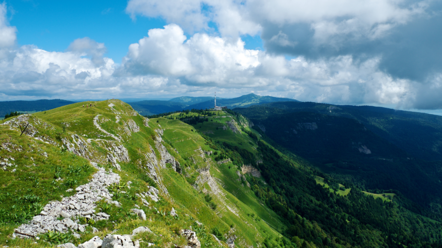 Découvrez les événements incontournables de cet été dans le Jura, à deux pas de nos chalets !