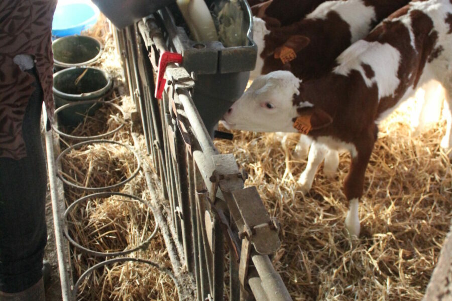 les chalets des chemins verts -vacances a la ferme-jura-distribution du lait au milkibar